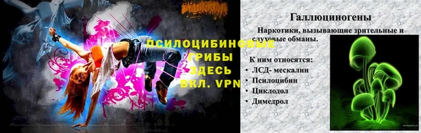 каннабис Арсеньев