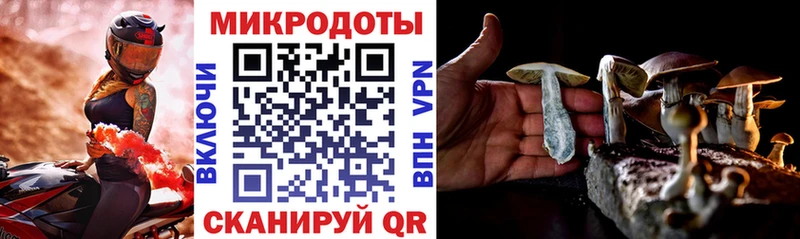 omg ссылки  Балашов  Псилоцибиновые грибы Psilocybine cubensis 